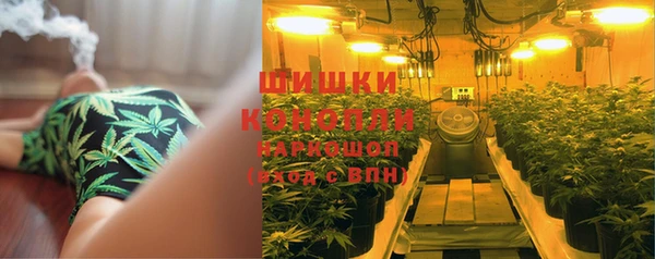 марки nbome Каменногорск