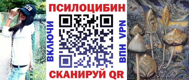 Купить Сланцы Галлюциногенные грибы Psilocybe